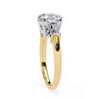 Cushion-Cut Lab-Grown Diamond Three-Stone Ring | Straight Baguette Sides & Plain Shank | VR260075
