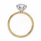 VR260118 VIBHINI RING