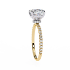 2.50ct Cushion Cut Lab-Grown Diamond Engagement Ring | Pavé Shank & Hidden Pavé Gallery