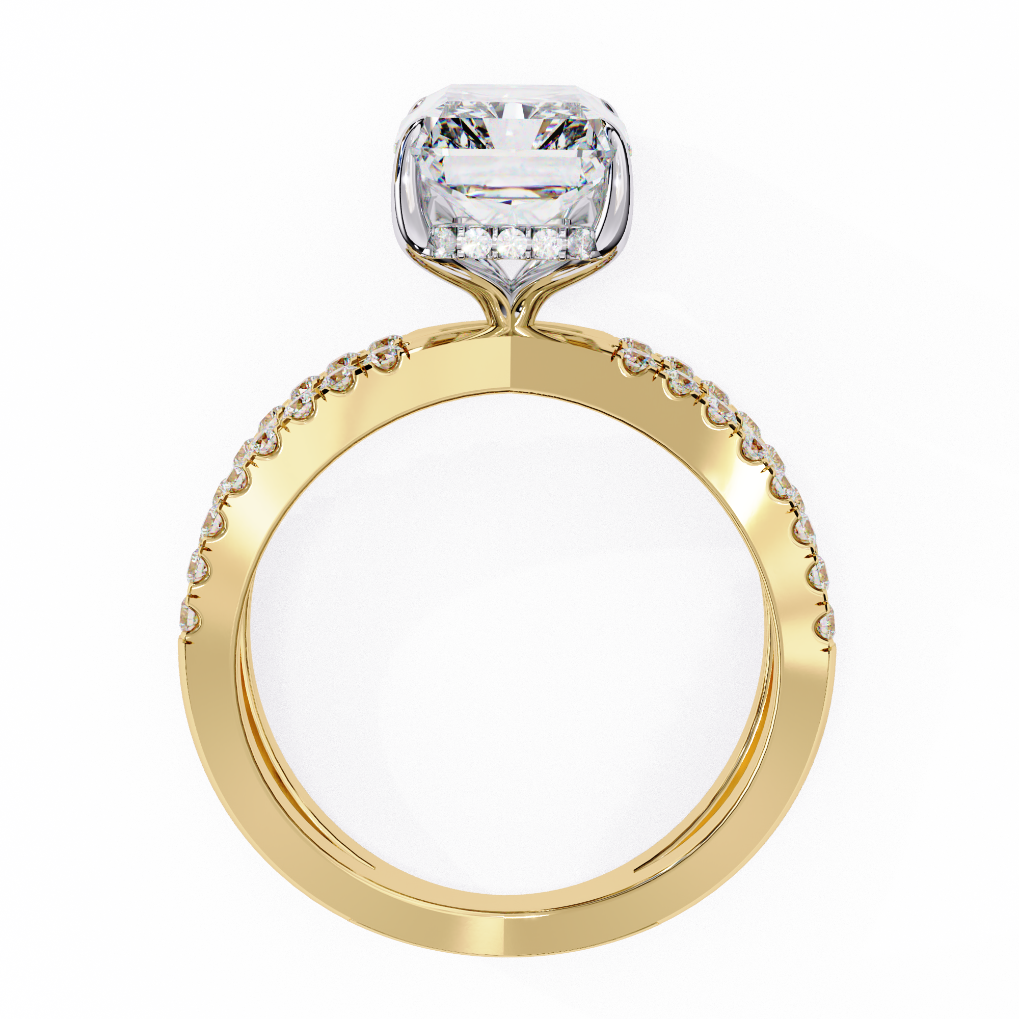 2.50ct Emerald Cut Lab-Grown Diamond Ring | Pavé Gallery & Pavé Shank | VR260037