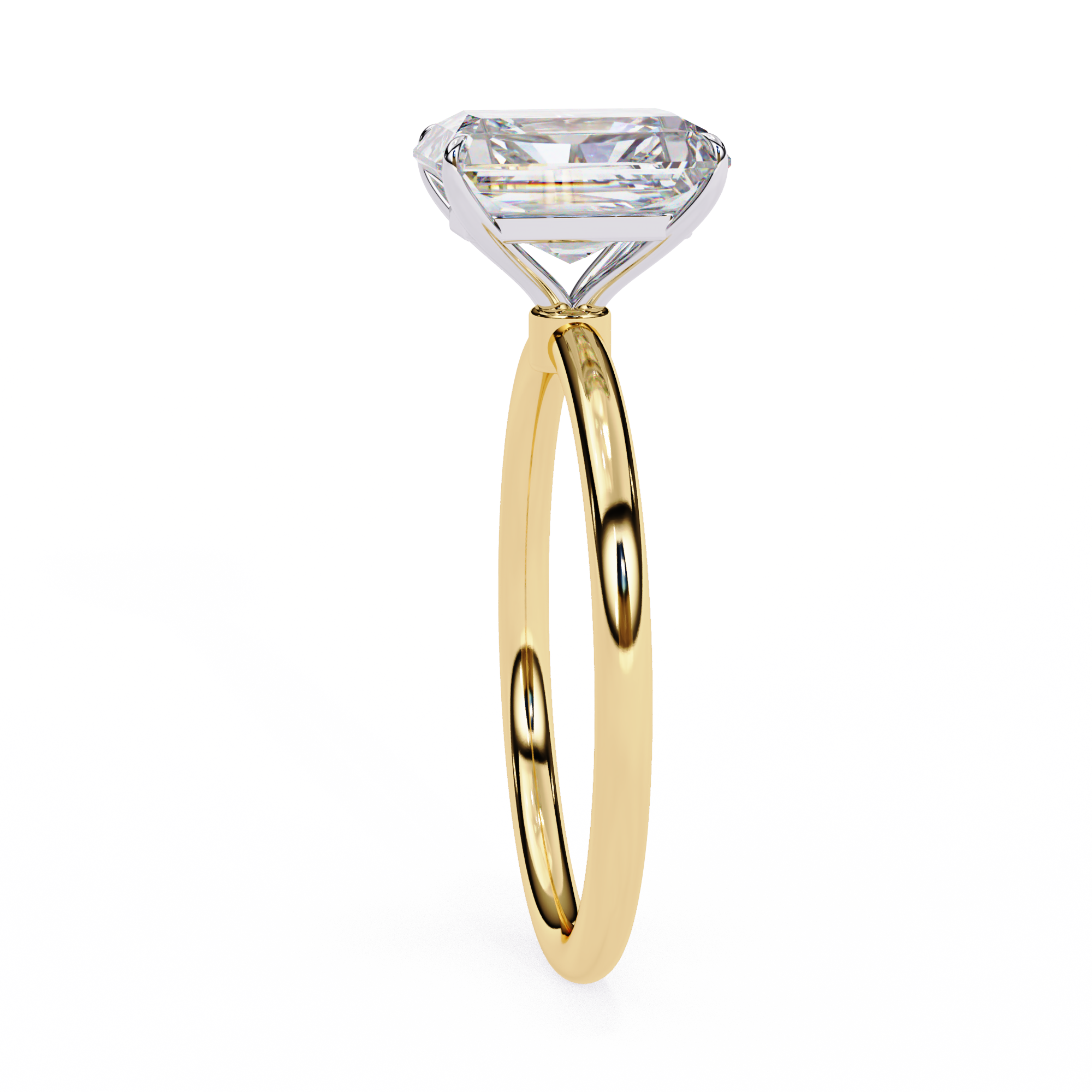 VR260127 VIBHINI RING