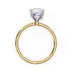 VR260132 VIBHINI RING