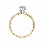 VR260134 VIBHINI RING