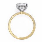 2.00ct Princess Cut Lab-Grown Diamond Ring | Pavé Halo, Prongs & Shank | VR260059