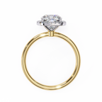 VR260136 VIBHINI RING