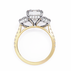 Emerald-Cut Lab-Grown Diamond Three-Stone Ring | Custom Baguette Sides & Diamond Shank | VR260083