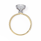Princess-Cut Lab-Grown Diamond Solitaire Ring | Pavé Gallery & Pavé Shank | VR260089