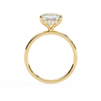 Princess-Cut Lab-Grown Diamond Solitaire Ring | Pavé Gallery & Plain Shank | VR260090