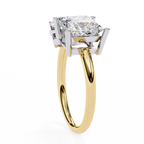 VR260129 VIBHINI RING