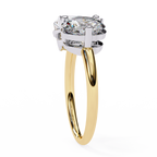VR260131 VIBHINI RING