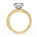 VR260109 VIBHINI RING