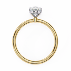 VR260125 VIBHINI RING