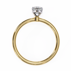VR260123 VIBHINI RING