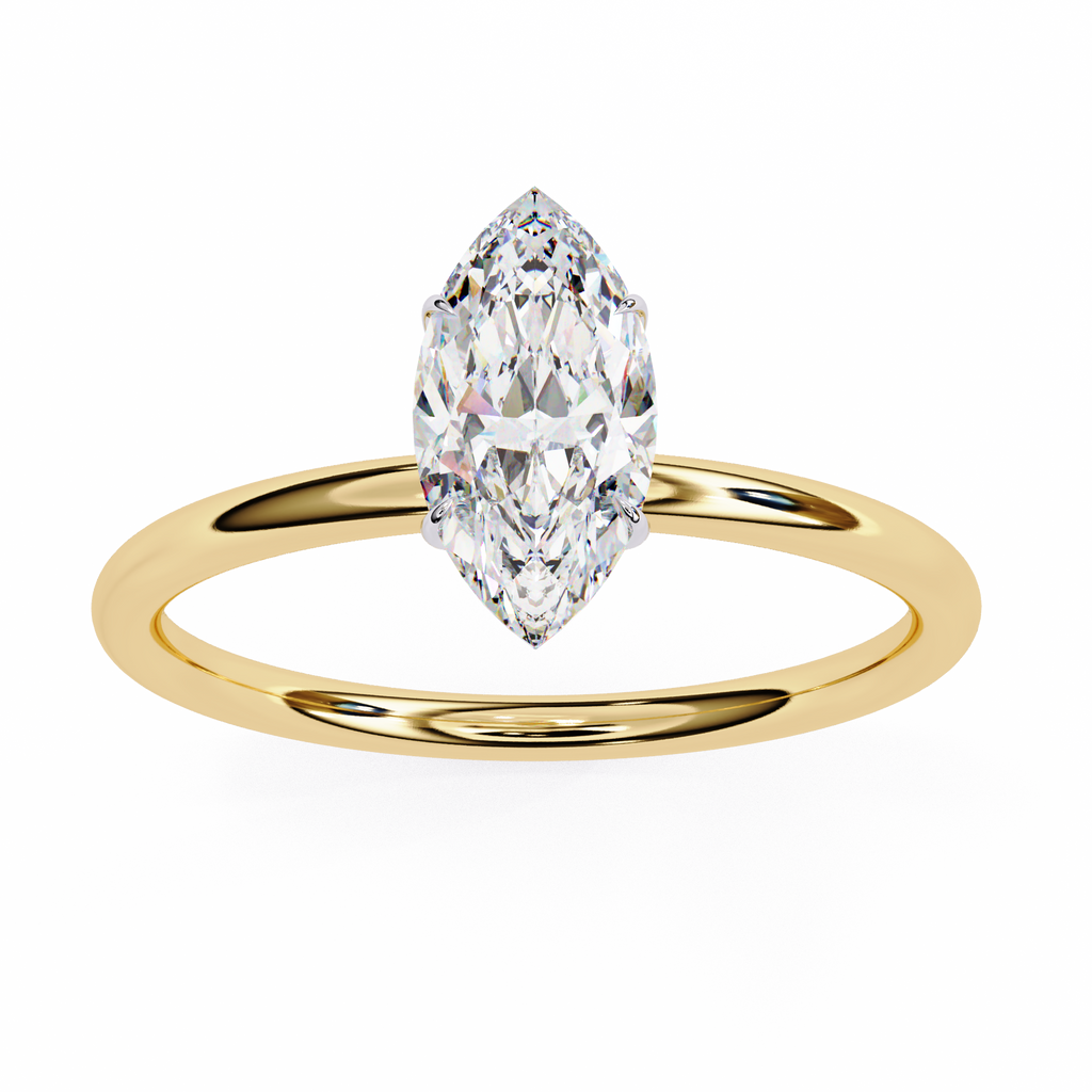 VR260123 VIBHINI RING
